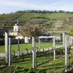 Radebeul Schloss Wackerbarth